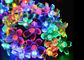 Сделайте СИД водостойким светов 30 строки цветения солнечное приведенное в действие на открытом воздухе/50 ламп СИД поставщик